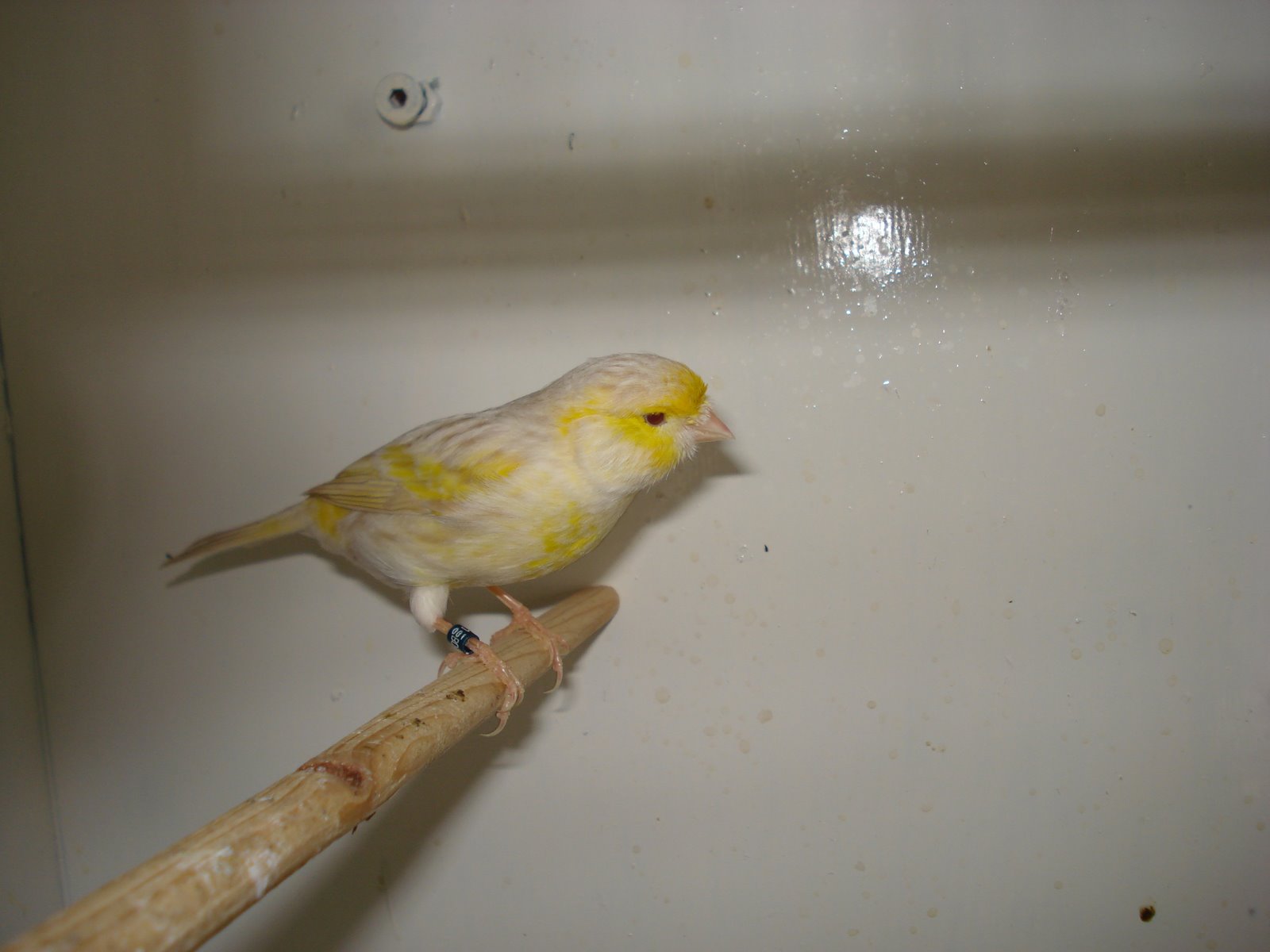 [DSC01183.JPG]