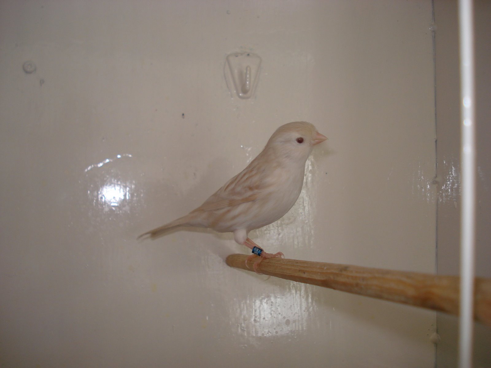 [DSC01300.JPG]