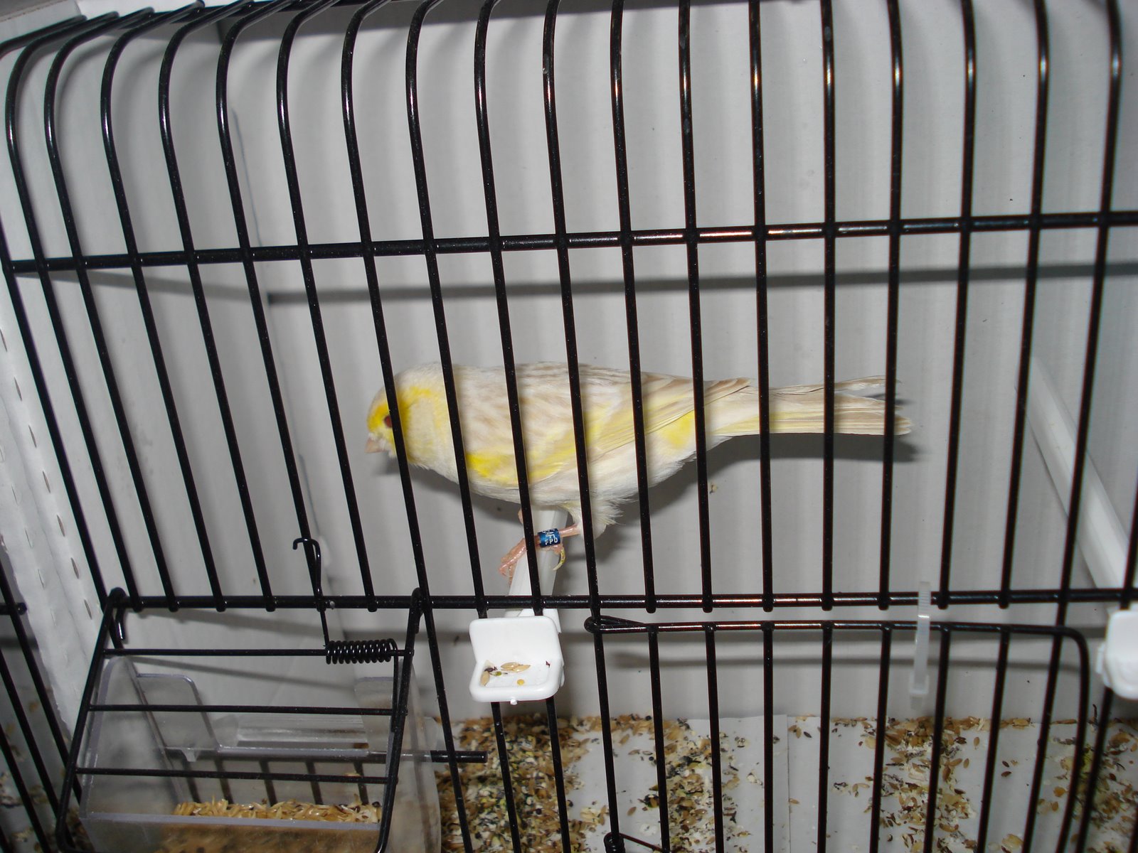 [DSC01441.JPG]