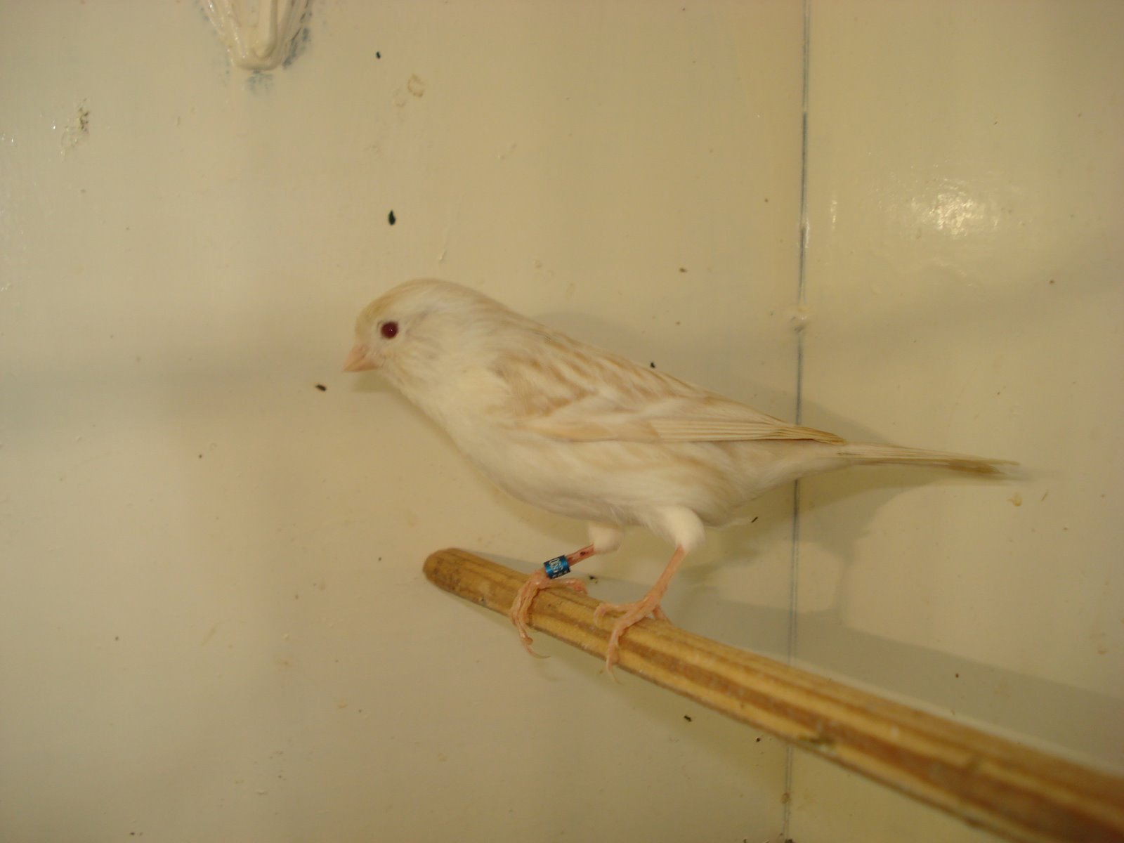 [DSC01849.JPG]
