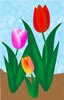 Spring Tulips Clip Art