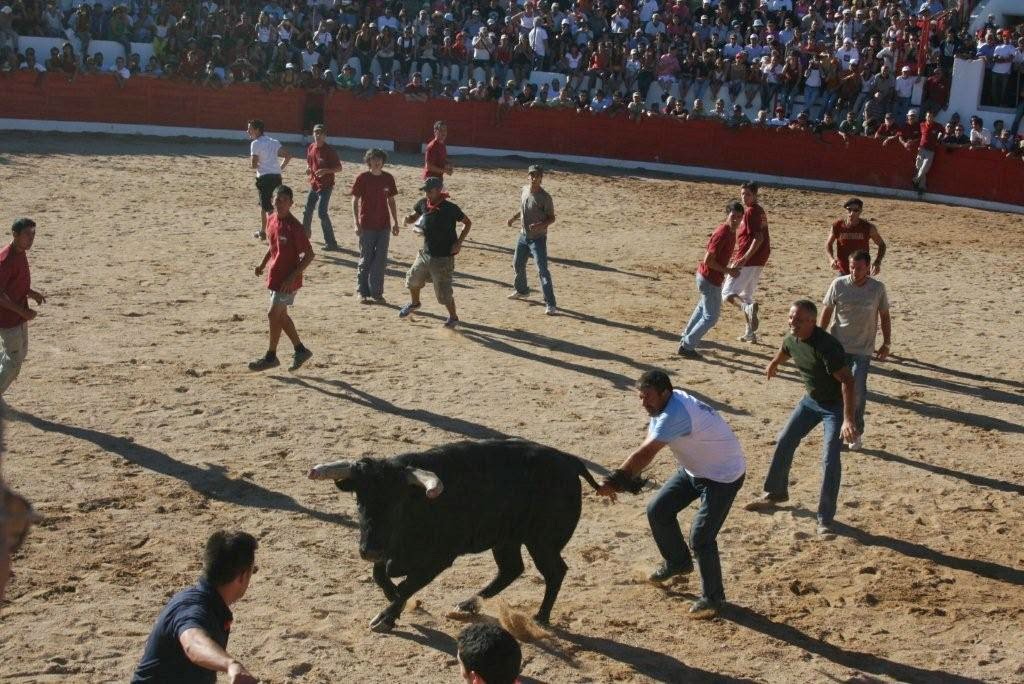 [tourada10]