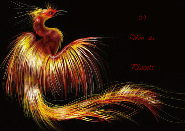 O Voo da Phoenix