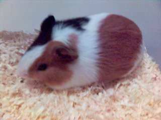 [After+bath...jpg]