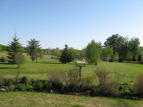 [springfrontyard.JPG]