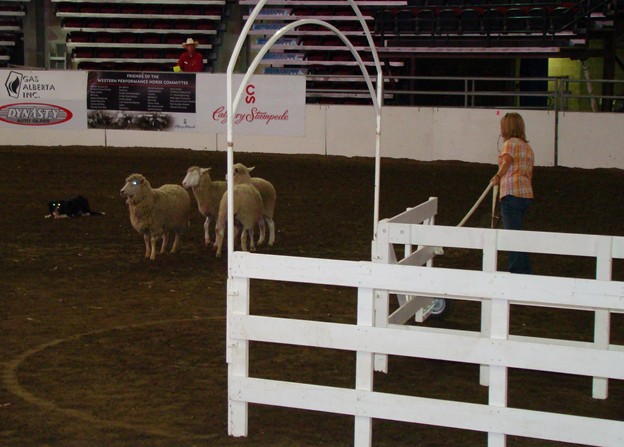 [calgary+022.JPG]