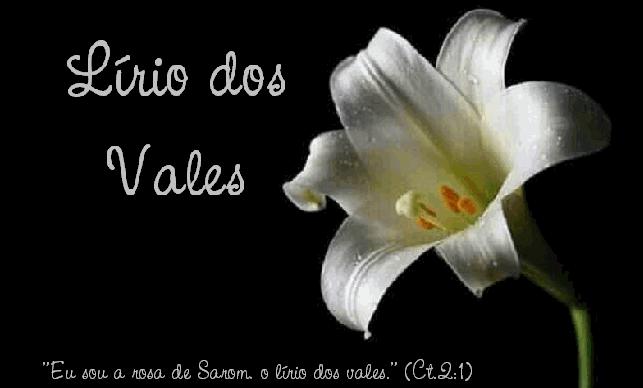 jardim rosas de saron:Jesus a Rosa de Saron: Junho 2010 jardim rosas de saron:Jesus a Rosa de Saron: Junho 2010