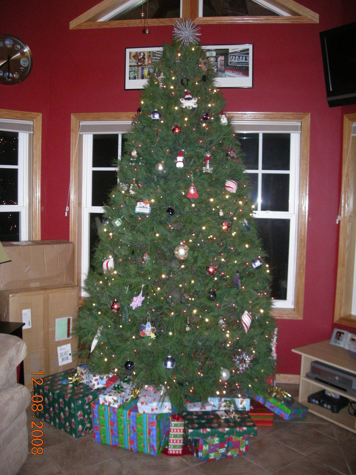 [tree.jpg]