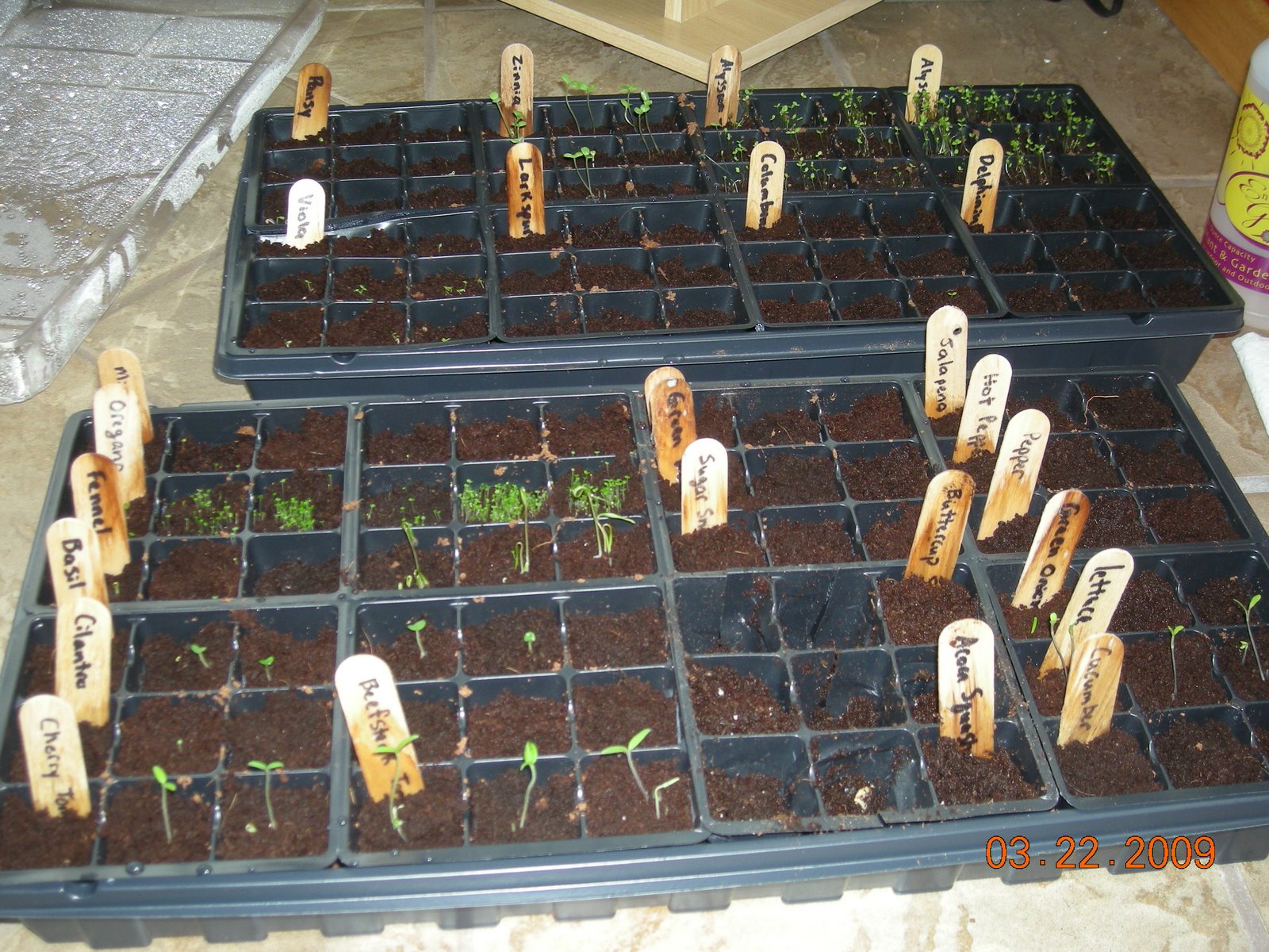 [garden+007.jpg]