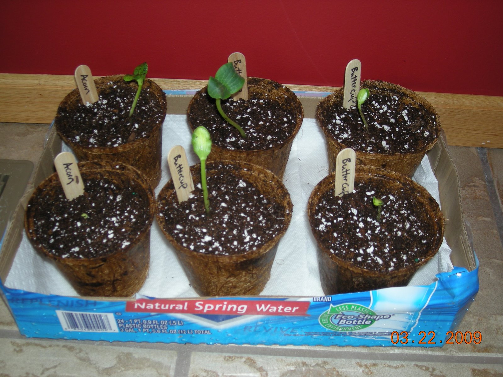 [garden+006.jpg]