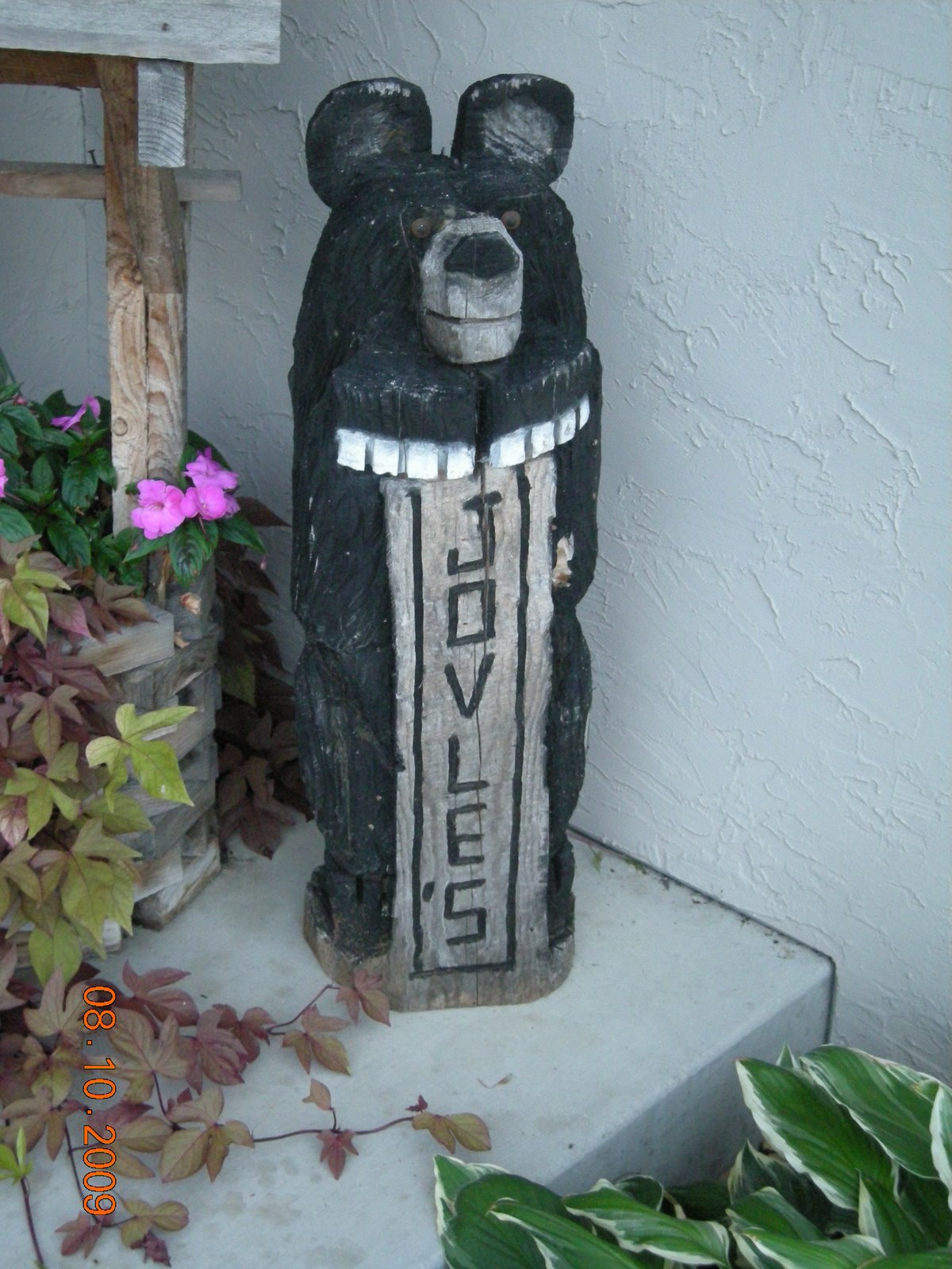 [bear.jpg]