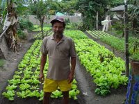 HORTICULTURA GARANTE O SUSTENTO DE MUITOS EM SERRA DOS AIMORÉS