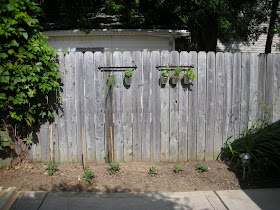 Tara Being Tara: The cutest herb garden ever!