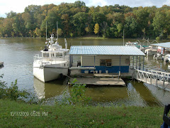 The Marina at Bumpus Mills, TN