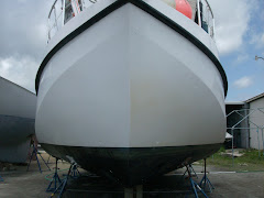 Sunny FL morning. Can you tell which half of the hull has the wax?