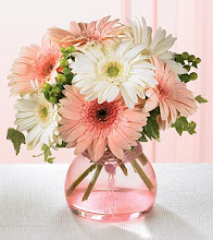 Pink and White Gerberas