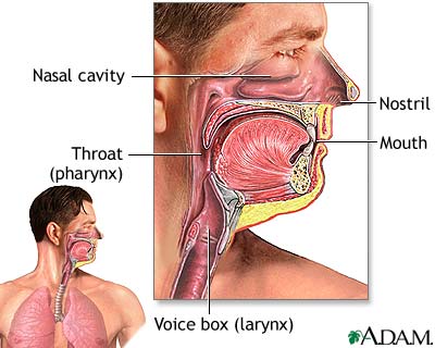 heart attack diagram. heart heart attack diagram. heart attack diagram. heart