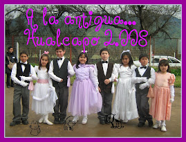 Encuentro Microcentro 2.008 Hualcapo, Hijuelas