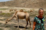 camel blockade