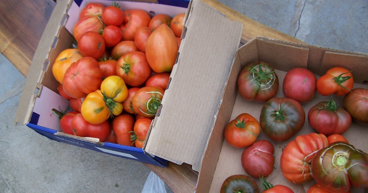 A Handmade Life Preserving stewed tomatoes