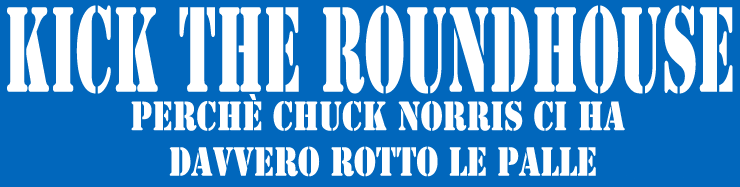 ||| KICK THE ROUNDHOUSE ||| Perchè Chuck Norris ci ha davvero rotto le balle! |||