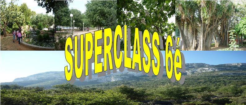 Superclass