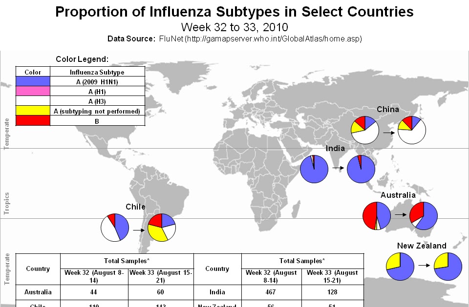 Seasonal Flu International Situation Update current international events