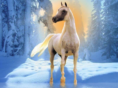 Horses Wallpapers | Free horses wallpaper desktop. Horses Wallpapers | Free
