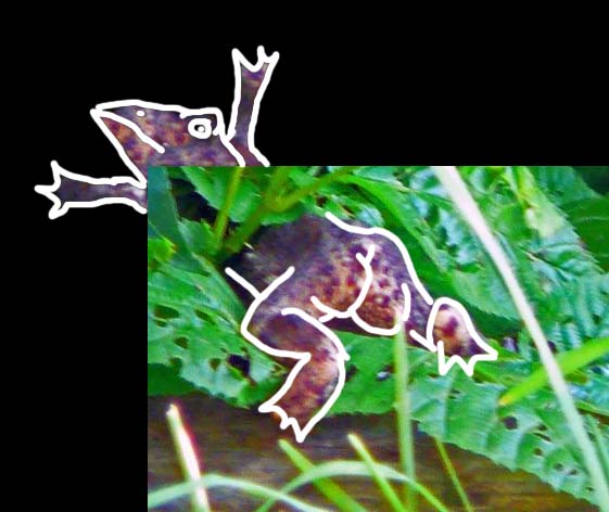 [guessthatass.jpg]