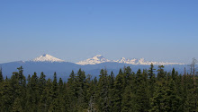 My Backyard