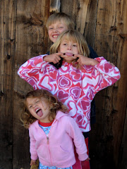 Bugz, Bean, & our little Monkey