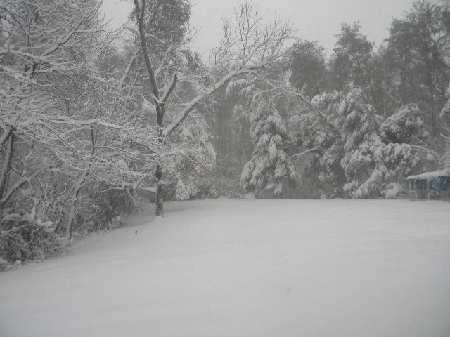 [snow+2010+052.JPG]