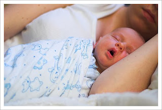 hvad afgør barnets køn kan man blive gravid under mens hvad afgør barnets køn kan man blive gravid under mens