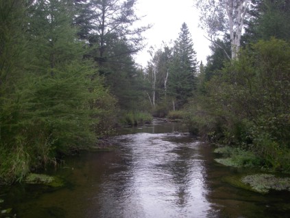 [Image: creek+2.jpg]
