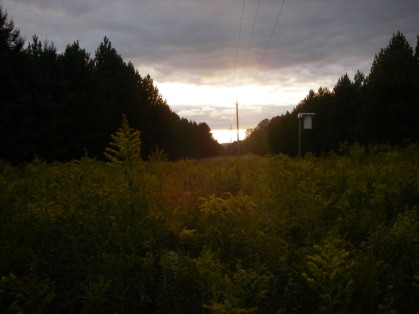 [Image: sunset+2.jpg]
