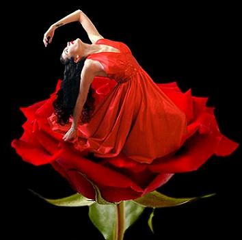 حُبٌ إستثنائي.. لامرأةٍ إستثنائية بائعة+الورود