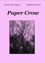 Paper Crow