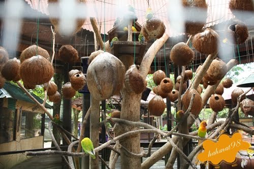 Berkongsi Cerita: Taman Rama-Rama