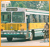 [dtc-bus.jpeg]