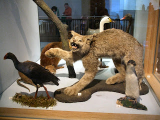 Great North Museum Great North Museum