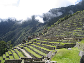 Incan terraces at Machu Picchu