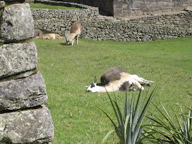 sunbathers