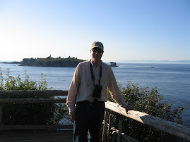 Cape Flattery