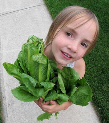 We often create a problem or think we have a picky eater because we struggle ... We often create a problem or think we have a picky eater because we struggle ...
