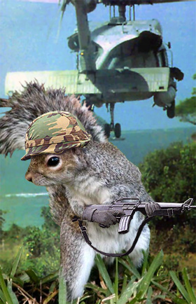 [frosty_squirrel.jpg]