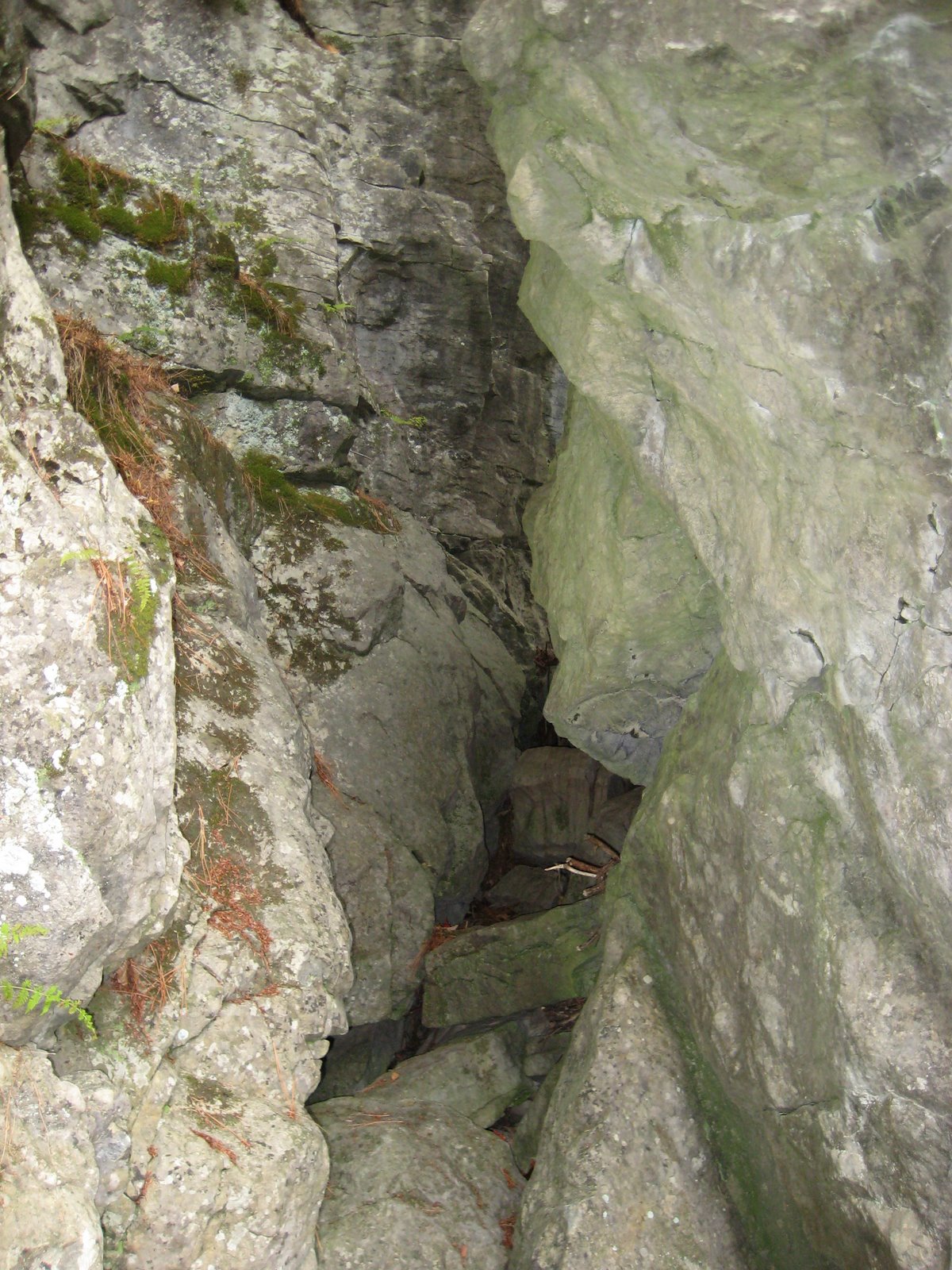 [IMG_0015.jpg]