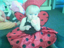 Our Little Lady Bug