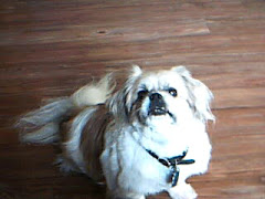 Fuzzy!