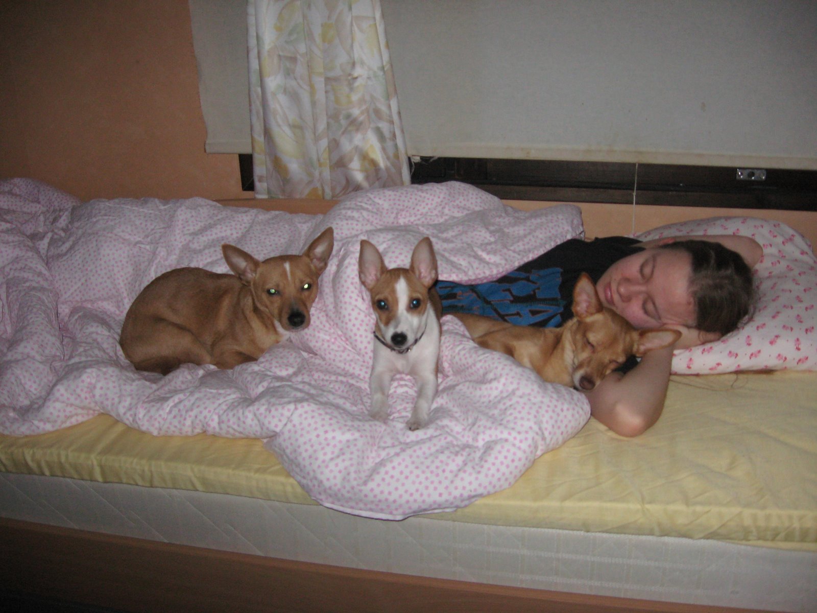 [IMG_2920.jpg]