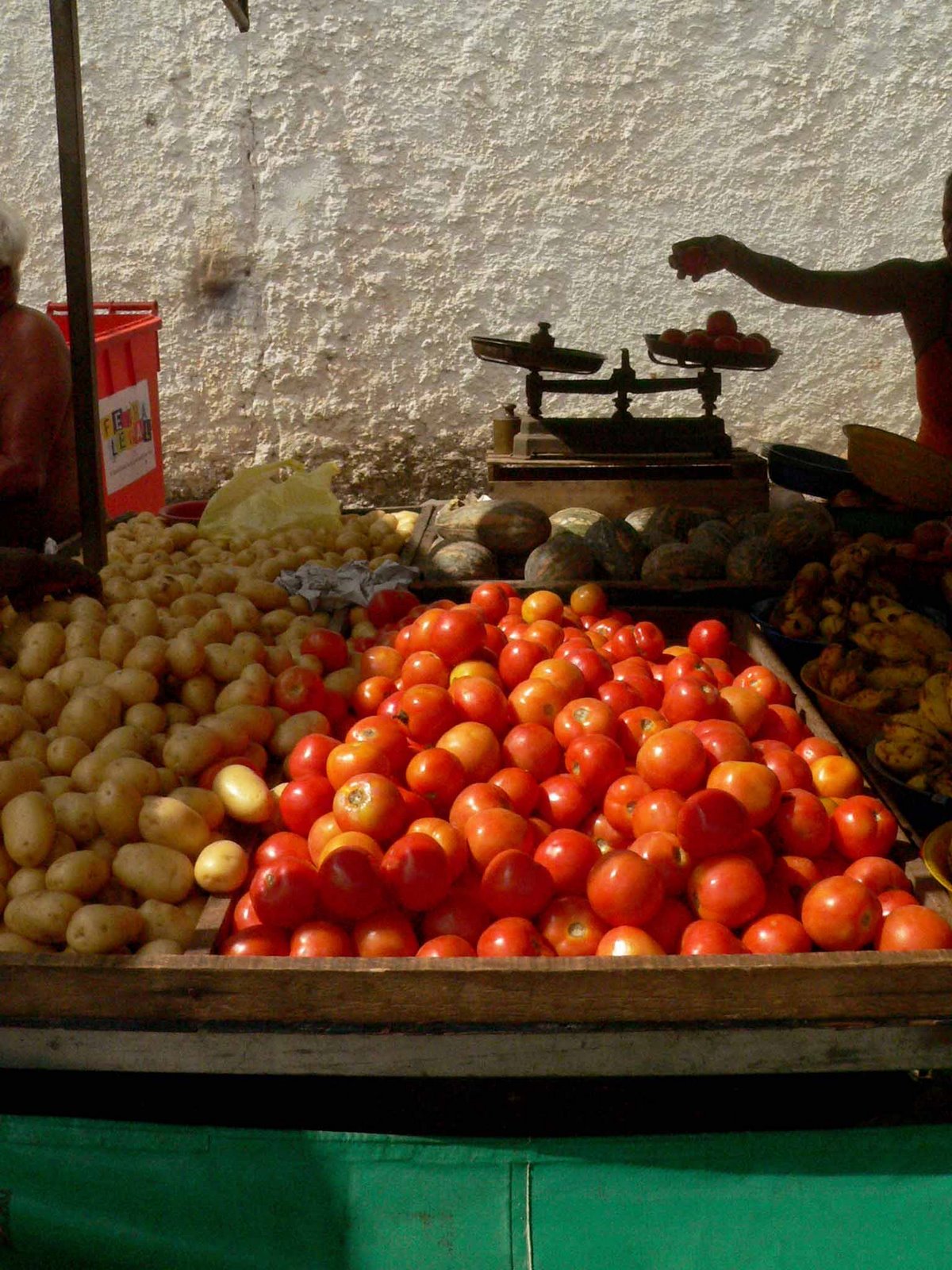 [001.tomates.paenviar.jpg]